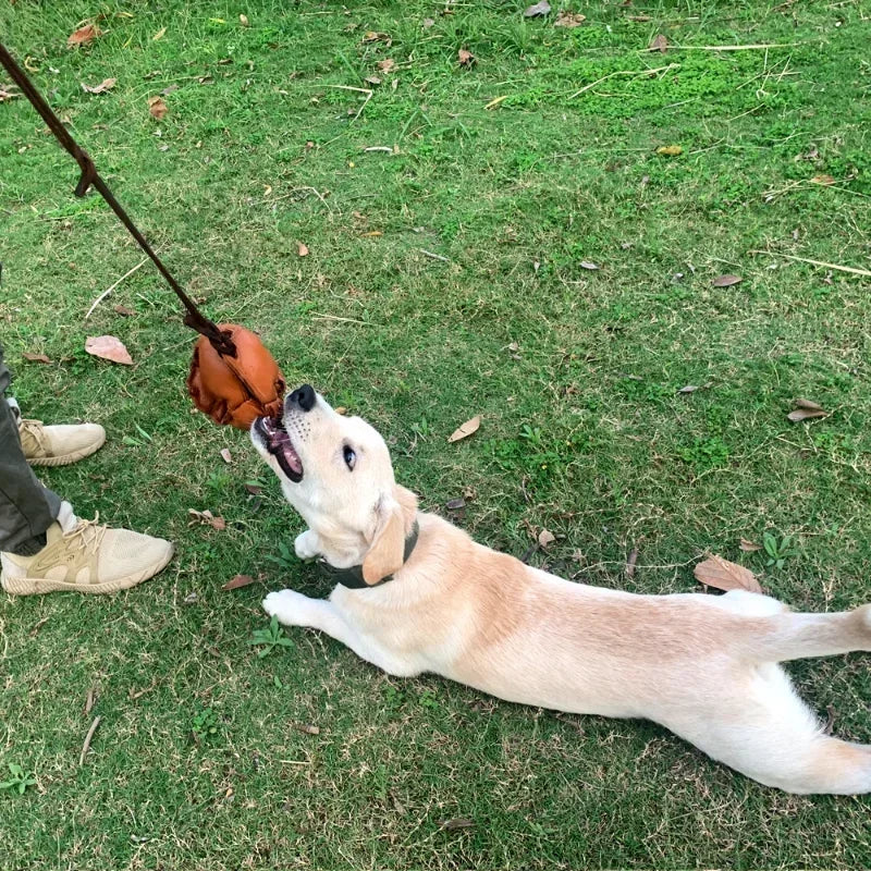 Hign-concerned Leather Dog Training Ball Toy With Handle
