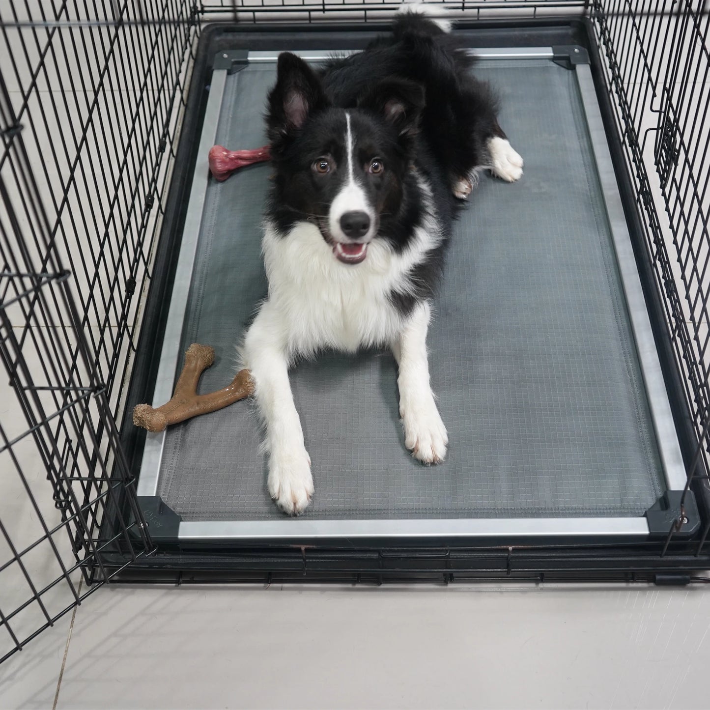 FXW TitanNest Padded Dog Bed for Crate ChewProof Cot