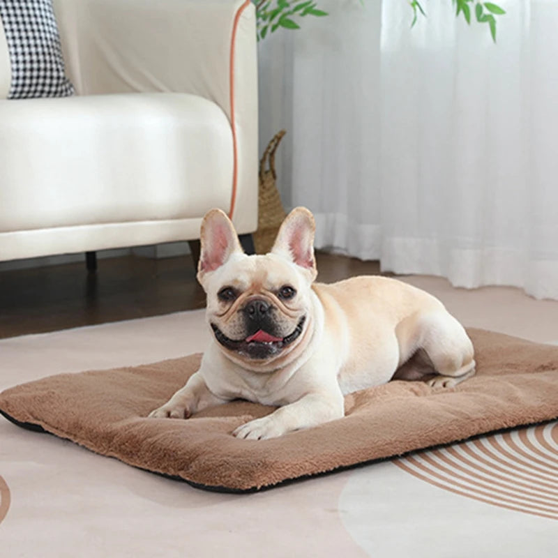 Guangdong Heated Plush Pet Bed Mat For Dogs And Cats
