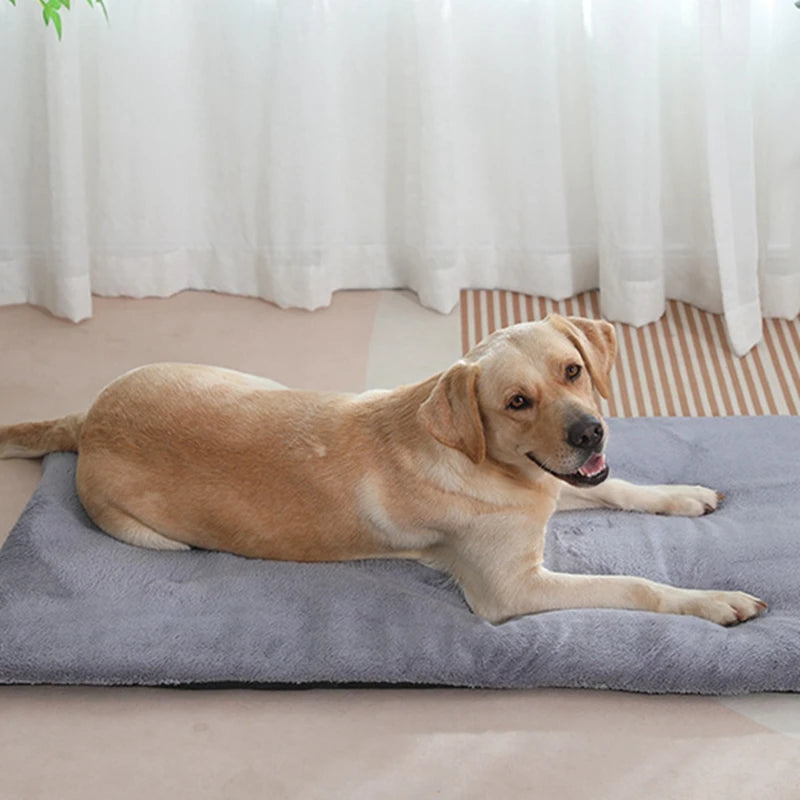 Guangdong Heated Plush Pet Bed Mat For Dogs And Cats