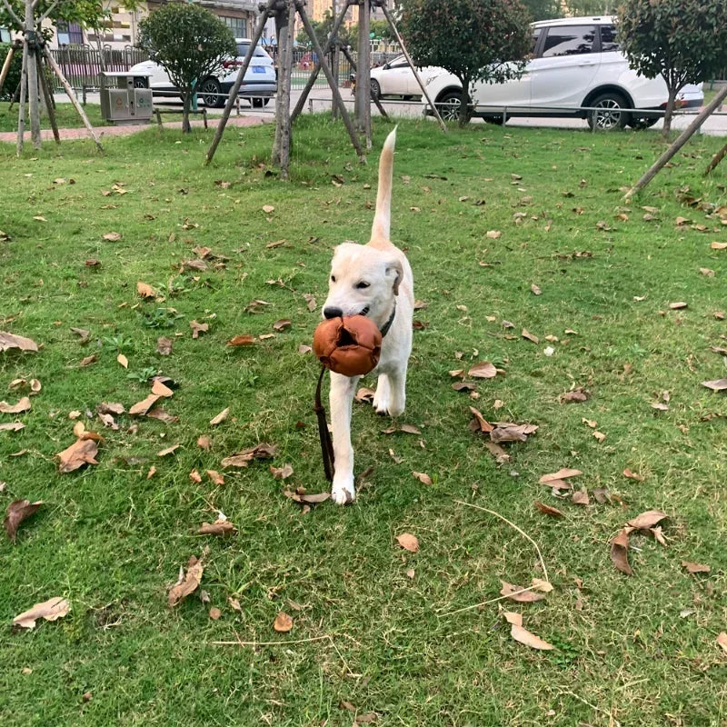 Hign-concerned Leather Dog Training Ball Toy With Handle