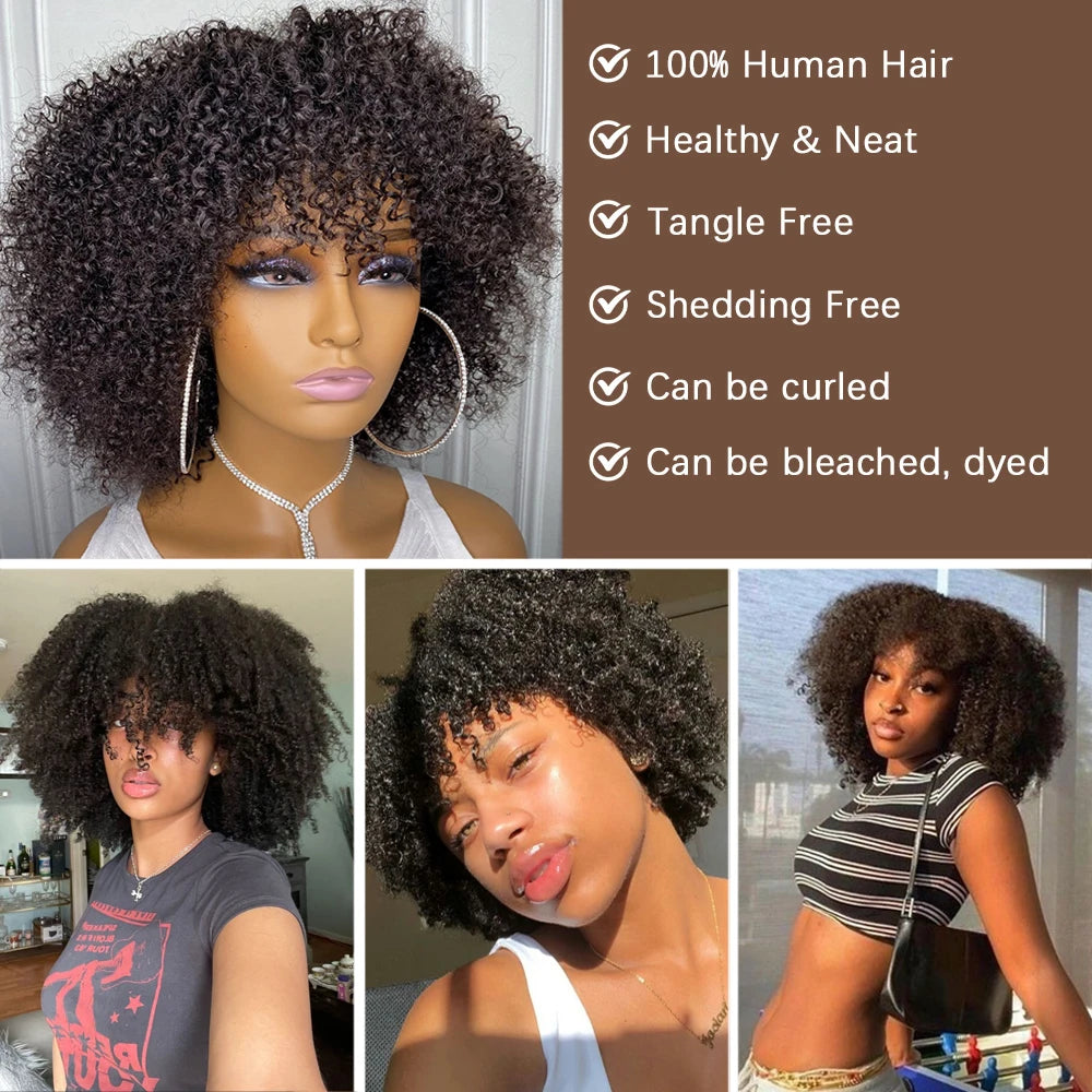 GrandAvenueStore Afro Kinky Curly Short Wig With Bangs