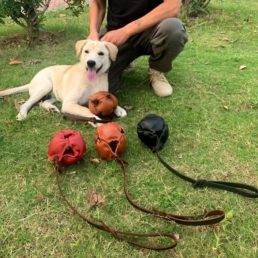 Hign-concerned Leather Dog Training Ball Toy With Handle
