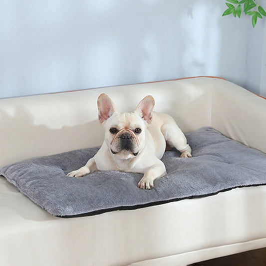 Guangdong Heated Plush Pet Bed Mat For Dogs And Cats